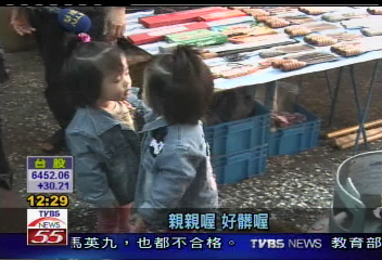 雙胞胎達人! 兩戶人家生8對