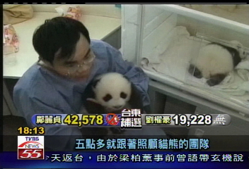 貓熊不來　動物園嗆聲申覆到底！