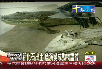 新化石出土　魚演變成動物證據