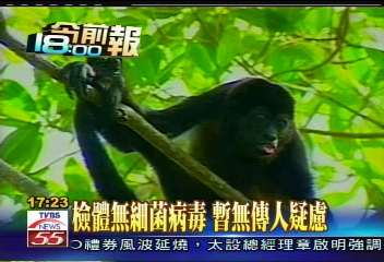 3千猴群集體暴斃　專家調查死因