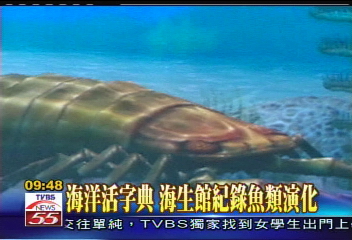 屏東海生館　搞怪魚兒大集合