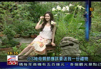 充當許俏妞保母　大S滿口媽媽經