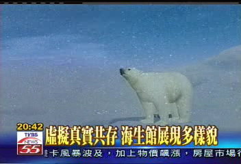 網羅動物明星 海生館宛如嘉年華