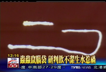 嚇人!蟲蟲腦內竄 男子頭痛欲裂