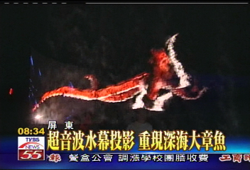 超音波水幕投影 重現深海大章魚