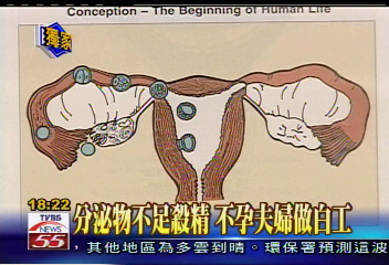 〈獨家〉「分泌物療法」求子 成功率多10%