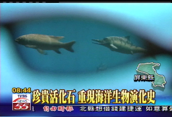 珍貴活化石　重現海洋生物演化史