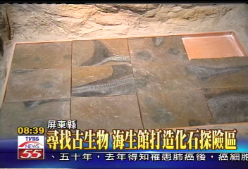 尋找古生物 海生館打造化石探險區