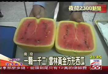 一顆1200！　雲林黃金方形西瓜