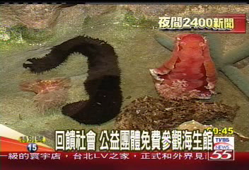 回饋社會　公益團體免費參觀海生館