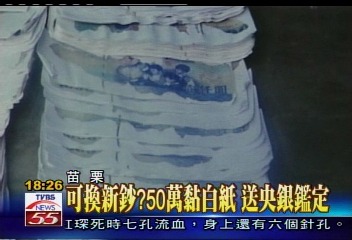毀了!2百萬埋地底 遇水災全泡水
