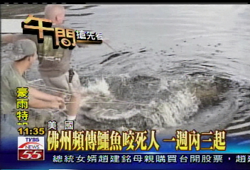 佛州頻傳鱷魚咬死人　一週內3起