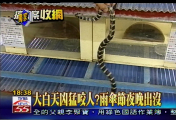 〈獨家〉質疑范氏嬌兒死　警方問專家