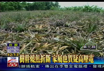 悲!夫妻赴鳳梨園 慘遭雷擊雙亡
