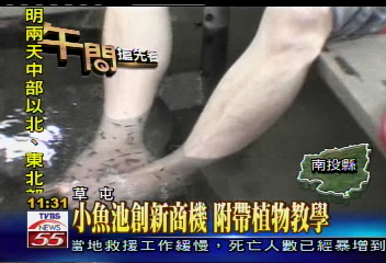 小魚兒啄人腳 「另類」腳底按摩