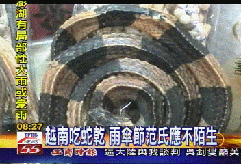 誰在搞軌/〈獨家〉越南吃蛇乾 雨傘節范氏應不陌生