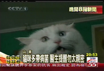 貓咬一口 貓主人失明失聰險送命