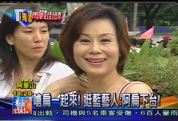 罷扁大遊行／〈獨家〉嗆扁一起來！　挺藍藝人：阿扁下台！