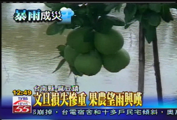 豪雨釀災/水退!泡水寺廟幫神明清家園