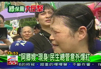 綠營大反擊/泛綠串聯凱道嗆聲 表達挺扁立場
