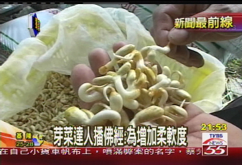 〈獨家〉高山清泉水栽培　20種芽菜供嚐鮮