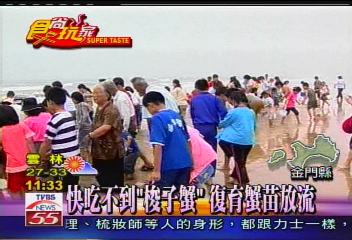 快吃不到「梭子蟹」　復育蟹苗放流
