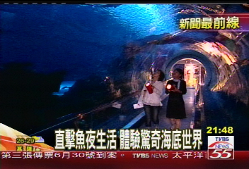 直擊魚夜生活　體驗驚奇海底世界