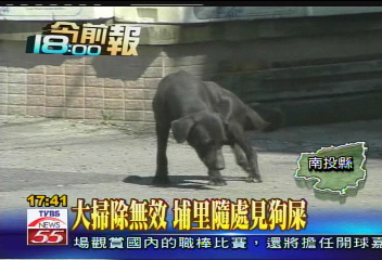 大掃除無效 埔里隨處見狗屎