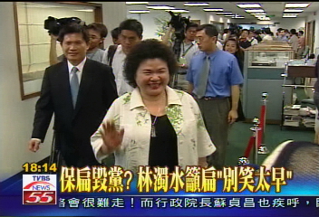 保扁毀黨? 民進黨「北長高菊」自救