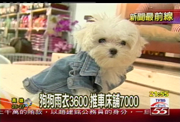 狗狗頂級享受，東京名店進駐台中業者？