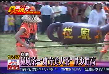 涼一夏！　喝東方美人茶消暑氣