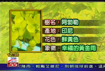 為圓阿勃勒之夢　千坪荒地變農莊