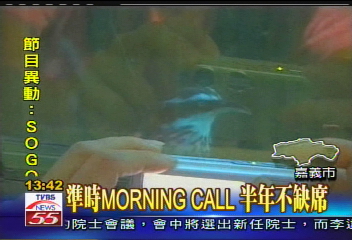 叫到你醒為止! 畫眉鳥成民宿鬧鈴