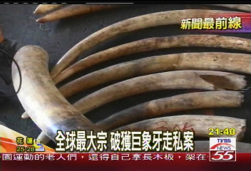全球最大宗　破獲巨象牙走私案