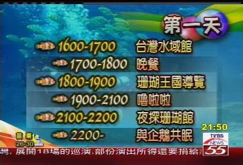 潮間帶生態保護完整　小朋友開眼界
