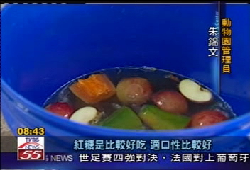 天氣熱！動物大啖水果冰解渴