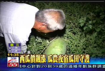 台東西瓜飆漲 每顆市價上千元