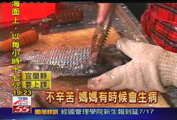 厲害！8歲女童　殺魚超快又俐落