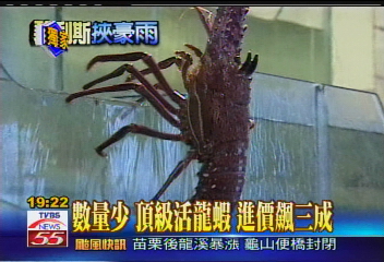 碧利斯襲台／〈獨家〉不敵颱風貨源緊　蟹黃湯包喊「漲」