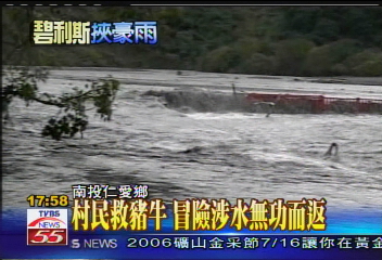 碧利斯襲台/村民救豬牛 冒險涉水無功而返
