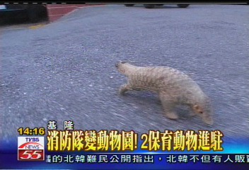 消防隊變動物園! 2保育動物進駐