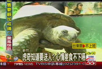 何處是我家 象龜「虎奇」找新主人