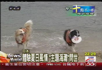 體驗夏日風情　「主題海灘」問世