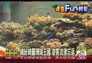 繽紛綺麗珊瑚王國 遊客流連忘返