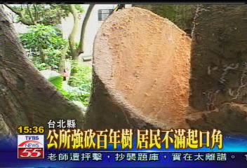 公所強砍百年樹　居民不滿起衝突