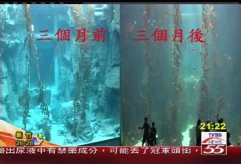 打造海藻一樂園　海生館最新力作