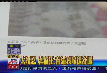 虐貓後續／虐貓變態狂　竟是精英電腦法務