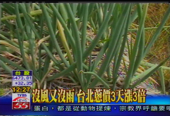 沒風又沒雨　台北蔥價3天漲3倍