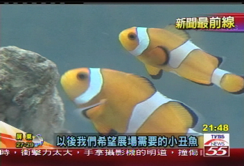 海洋生物入館 首要步驟健康檢查
