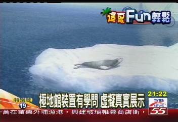 魚群穿梭人工魚礁 綺麗海底世界